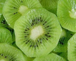 GIB Actinidia deliciosa | Chinese Gooseberry | Kiwi Fruit | 10 Seeds - £12.55 GBP