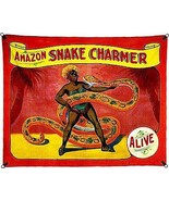 1960&#39;s Carnival Sideshow - ALIVE - Amazon Snake Charmer - Poster - $32.99