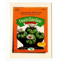Bud Brothers Herb Garden 1999 Rave Flyer West Hollywood Electronic Dance... - $29.70