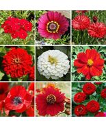Wildflower Mix Big Red Flowers 1000 Seeds - $8.67 CAD