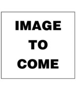 Master Electrician 66316 Globe 6/1 Hand Work Light, Black - $899.64 MXN