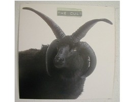 The Cult Poster Flat - $17.92