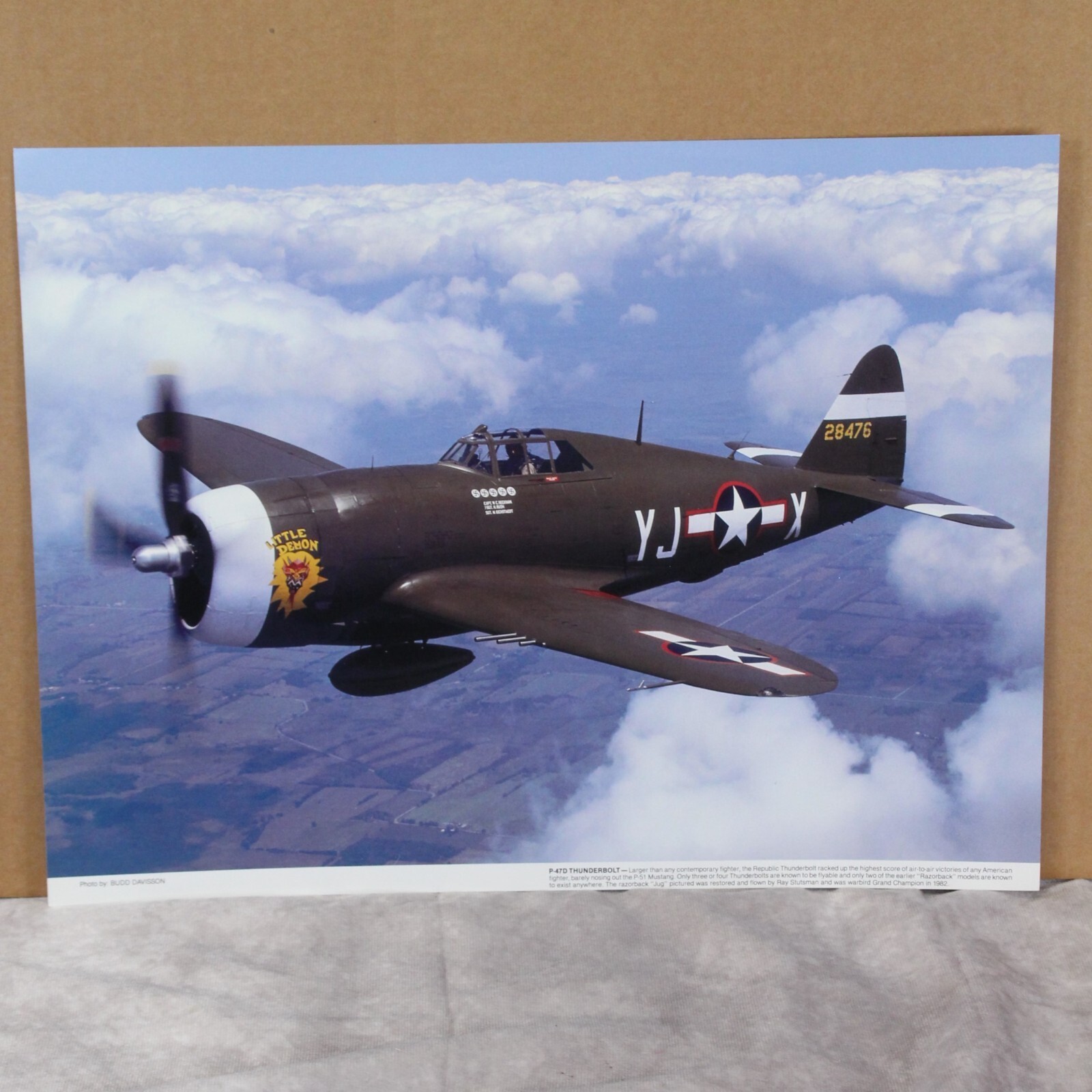 Budd Davisson Aviation Art Photo Print 12x16&quot; F-47D  Thunderbolt - $17.63