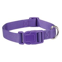 Dog Collar Bulk Packs 25 Purple Nylon Shelter Rescue Vet 4 Adjustable Sizes (6 t - £63.72 GBP+