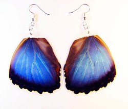 Unusual blue earrings from real butterfly wings of Morpho peleides from Columbia - £7.52 GBP