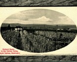 Orchard Scene Faux Wood Frame North Yakima Valley WA Washington 1911 DB ... - $13.81