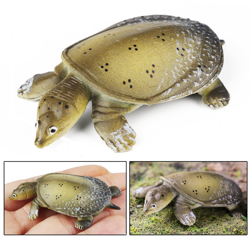 Chinese Softshell Turtle Flat-Back Animal Figurine Toy - $9.89+
