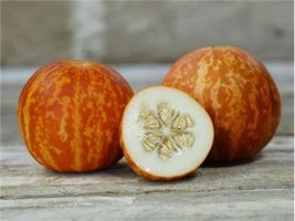 Fresh Garden Tigger Melon Seeds, Beautiful and Aromatic, Organic, NON-GMO, FREE  - £6.92 GBP