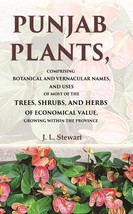 Punjab Plants Comprising Botanical and Vernacular Names, and Uses of Most of the - £21.33 GBP