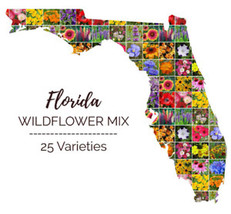 Us Seller Wildflower Mix Florida Mix Perennials Annuals 25 Flower Types Non-GMO - £4.78 GBP