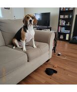 PET Dog Eye Patch, Patch for Dogs &amp; Cats, Small Adjustable Protective Ey... - $280.49 MXN