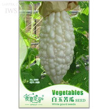 White Balsam Pear Seeds Bitter Melon Bitter Gourd Seeds, Original Pack, 10 seeds - £2.79 GBP