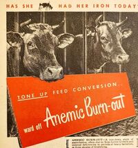 1947 Kow Care Cow Animal Health Advertisement Agriculture Farming DWNN20 - $366.69 MXN