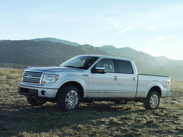 Ford F-150 Platinum 2009 Poster 24 X 32 | 18 X 24 | 12 X 16 #CR-1287147 - $19.95+