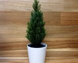IKEA VINTERFINT Artificial Small Potted Plant Pot christmas Tree 7" - $11.90