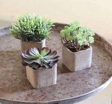 Set Of 3 Realistic Lifelike Artificial Botanica Succulents In Square Pot... - £32.04 GBP