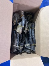 20 Springbok Horns (10 sets) - $2,751.95 MXN