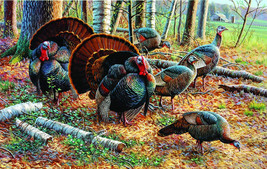 Framed Canvas Art Print Painting Wild Turkeys Game Bird Wildlife - £31.74 GBP+