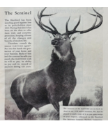 1933 Hartford Fire Insurance Company Advertisement Antique Elk Connectic... - $460.08 MXN