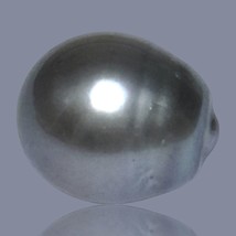 Oval 15.3 Carat 12.2 x 14mm Tahitian South Sea Natural Middle Gray Loose Pearl - $113.60