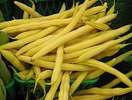 Top Notch Golden Wax Bush Bean Seeds - 50 Count Seed Pack - Non-GMO - an Excelle - £2.39 GBP