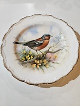 Royal Albert Bone China Bird Plate Woodland Birds Collection Chaffinch 1982 - $24.70