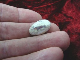 (O-590-21) Red Orange flash Mexican fire opal stone in matrix gemstone specimen - £14.41 GBP