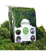 Usmola Artificial Fake Moss, 8Oz Craft Moss For Potted Plant Centerpiece... - $38.97