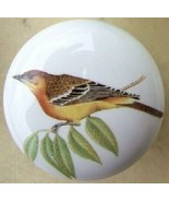 Cabinet Knobs Knob w/ Oriole Bird Oriel Oriele domestic - $5.20