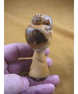 (TNE-LEO-426) Leopard Wild TAGUA NUT palm Figurine carving love leopards... - $39.73 CAD