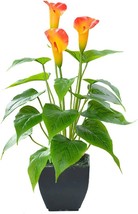 Artificial Flower Plants Calla Lily Faux Small Potted Plant With Black Pot Fake - £30.35 GBP