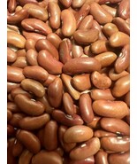 Red Kidney Beans Seed Grains Phaseolus Vulgaris Drought-Tolerant FREE S/H! - $166.83 MXN+