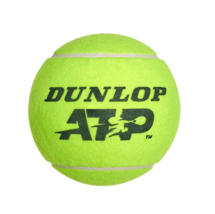 Dunlop 5IN ATP Mini Tennis Ball 22cm Sports Ball Accessory Yellow 1pc - $31.99