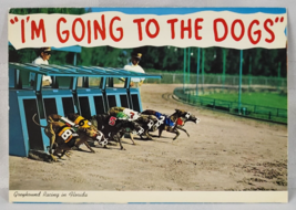 I&#39;M GOING TO THE DOGS GREYHOUND RACING IN FLORIDA VINTAGE POSTCARD RETRO... - £10.17 GBP