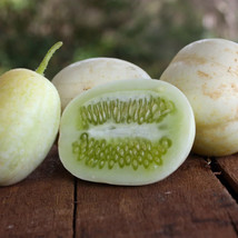 25 + Seeds  Crystal Apple White Spine Cucumber Planting Edible Easy To G... - £6.89 GBP