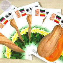 Sweet Pumpkin Seeds 5 Packs 25 Seeds Long Yellow Vegetables High Yield F... - £11.16 GBP