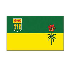 Canada Saskatchewan Polyester International Country Flag 3 X 5 Feet - $7.59