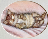 Kitten Cat Sleeping on Back Paws in Air Pastel Original Artwork Oval Mat... - $44.54
