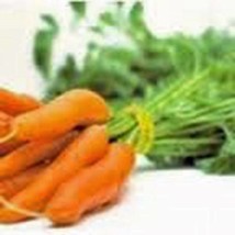 Carrot, Little Fingers Seeds ,Organic, Non-gmo, 50+ Seeds - $4.99