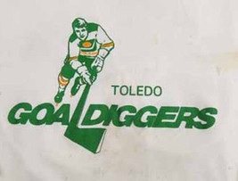 Toledo Goaldiggers IHL Hockey Mens Embroidered Polo XS-6XL, LT-4XLT Storm New - £20.16 GBP+