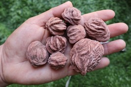 8pcs Raw Desert Rose Stones – Natural Selenite Gemstone Crystal Set - $18.81