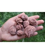 8pcs Raw Desert Rose Stones – Natural Selenite Gemstone Crystal Set - €16,12 EUR