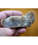 (DF701-28) 4 oz Fossil REAL DINOSAUR POOP Coprolite Dino Utah Jurassic D... - $17.99