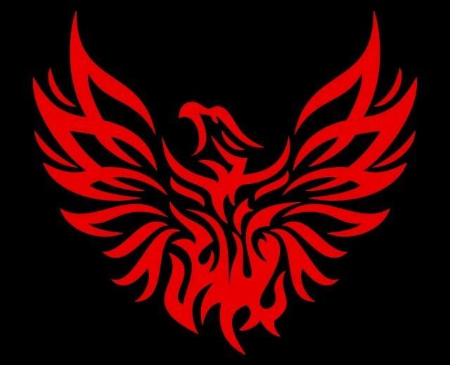 Primary image for PHOENIX BIRD Tribal Flame Vinyl Decal Car Wall Window Sticker CHOOSE SIZE COLOR