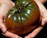 60 Russian Black Krim Tomato Seeds Non Gmo Organic Heirloom Fresh Fast S... - $8.99