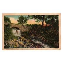 Vintage Postcard Falls At Chenengo Valley State Park Linen Binghamton New York - £11.09 GBP