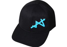 W Corp Hat - $18.00