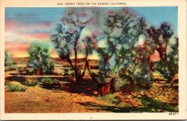 Smoke Trees On The Desert California Postcard Vintage - £7.83 GBP
