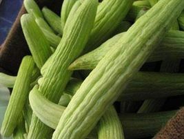 60 Seeds Armenian Cucumber Seeds Metki Pale White Serpent NON-GMO Burpless - £9.68 GBP