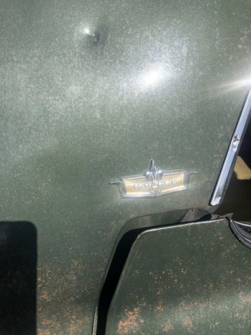 Full-size item image